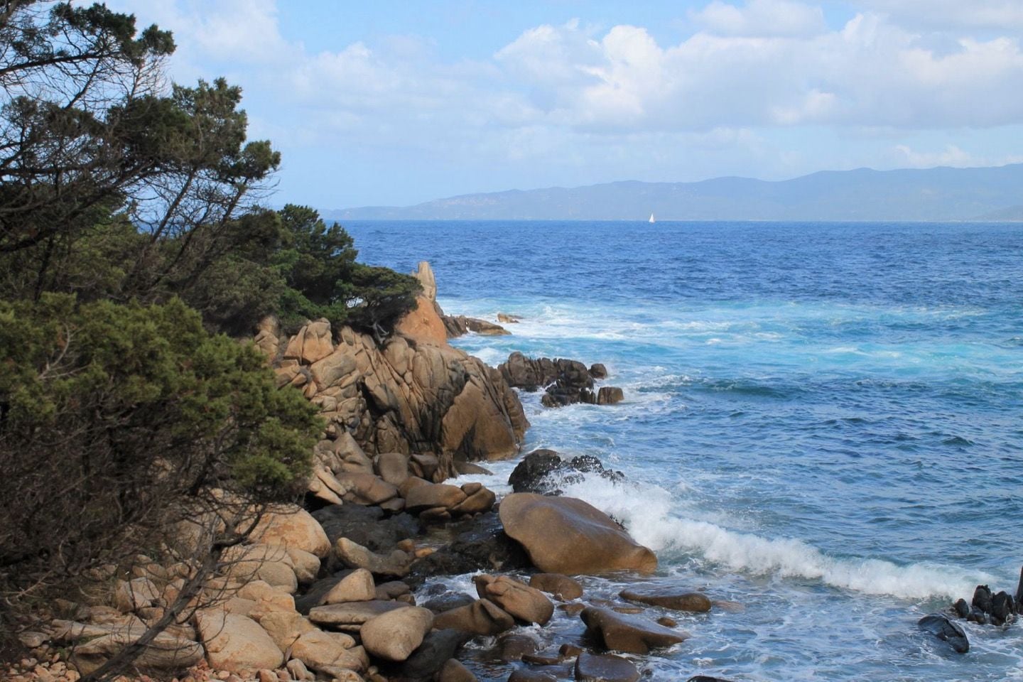 Côte rocheuse bordée de pins au-dessus d'une mer bleue, paysage des îles d'Hyères