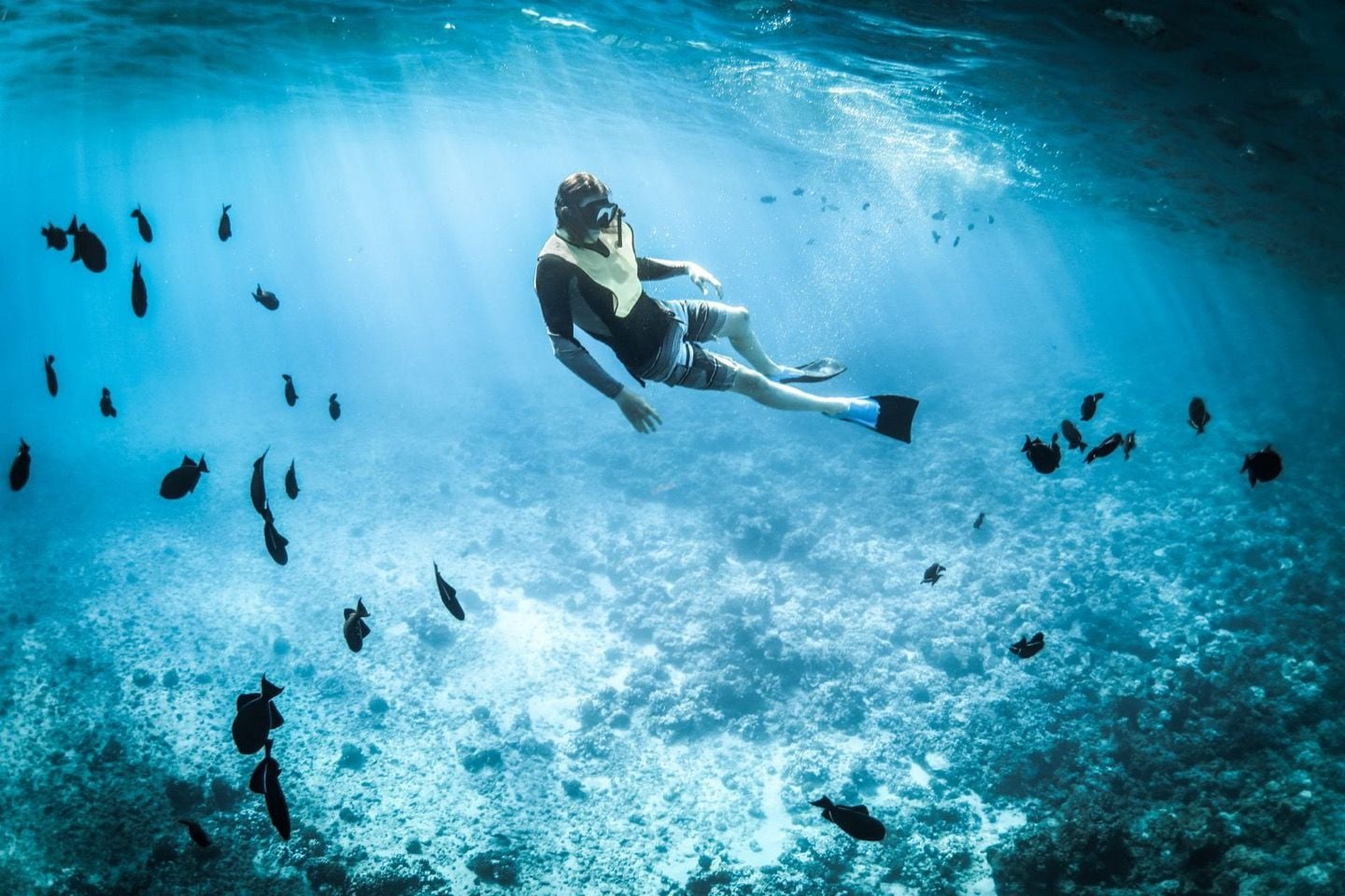 Nageur en palmes et masque au milieu d'un banc de poissons en Méditerranée