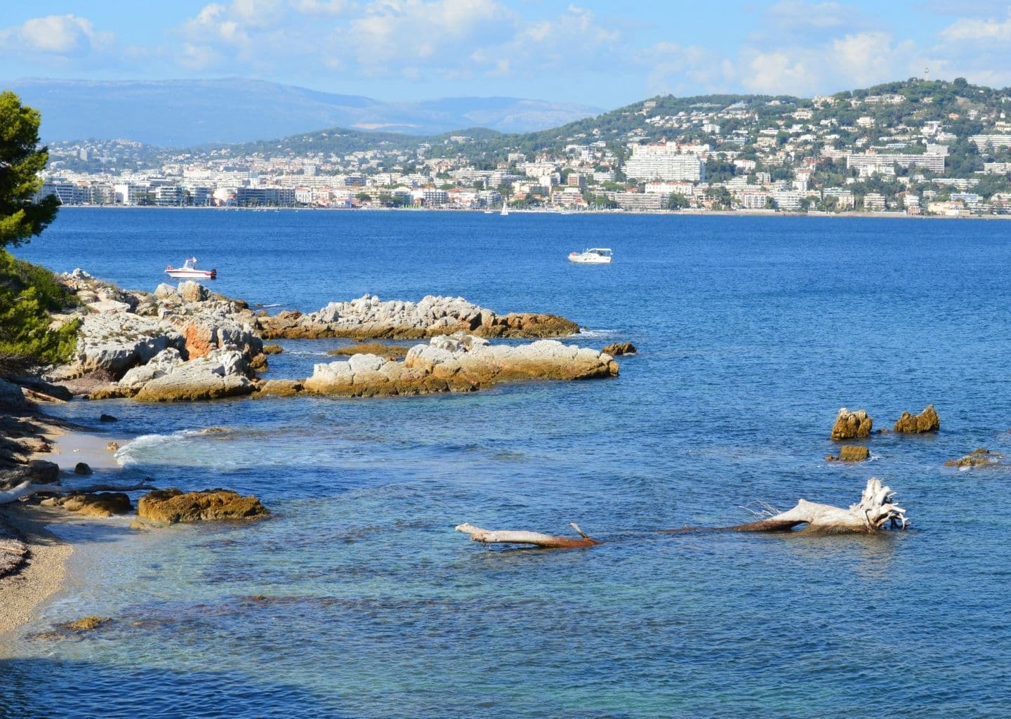 Visiter Bandol en bateau : le guide complet