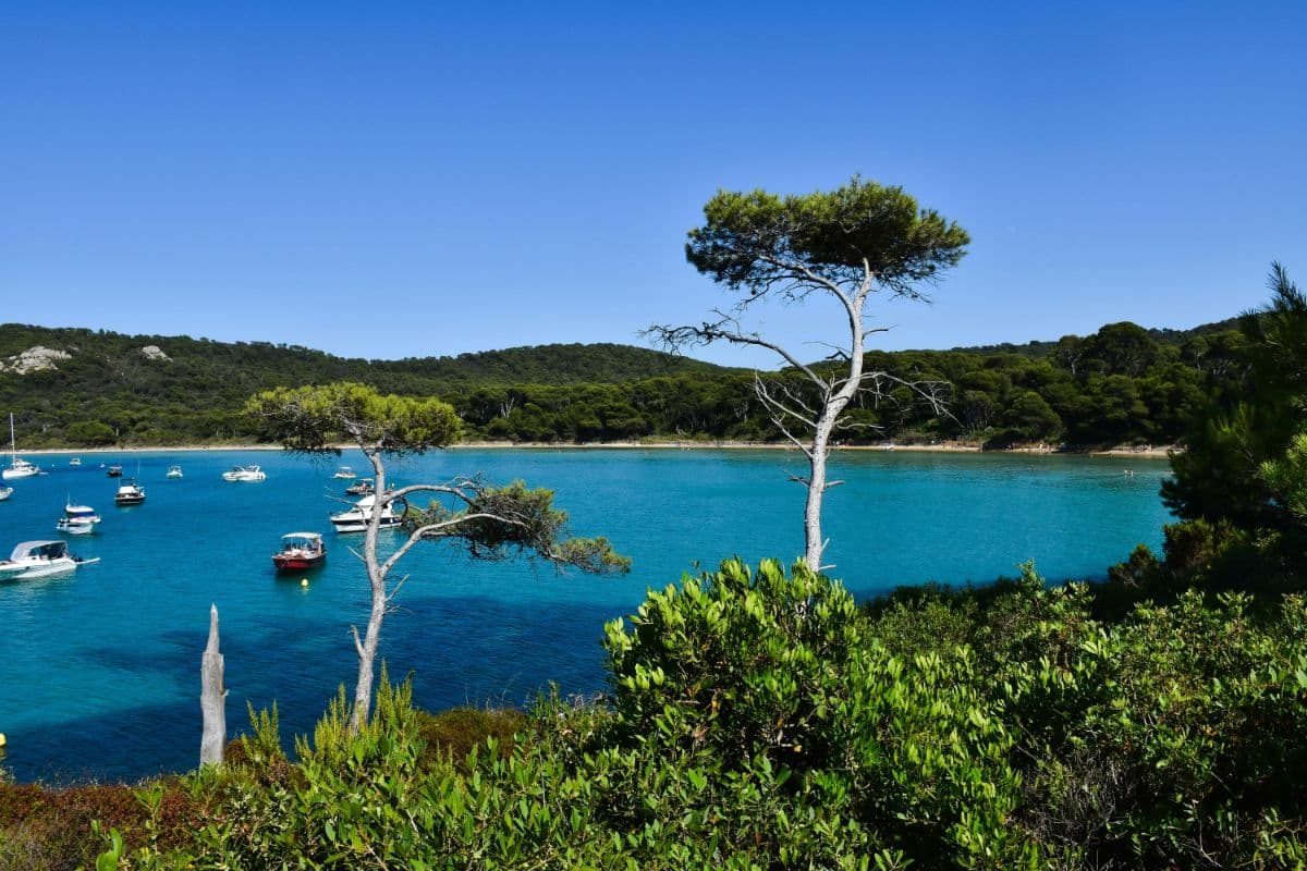 Les plus belles plages de Porquerolles accessibles en bateau