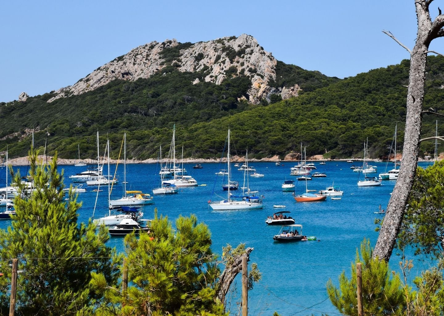 Pourquoi les mouillages de Porquerolles sont si réputés _.jpg