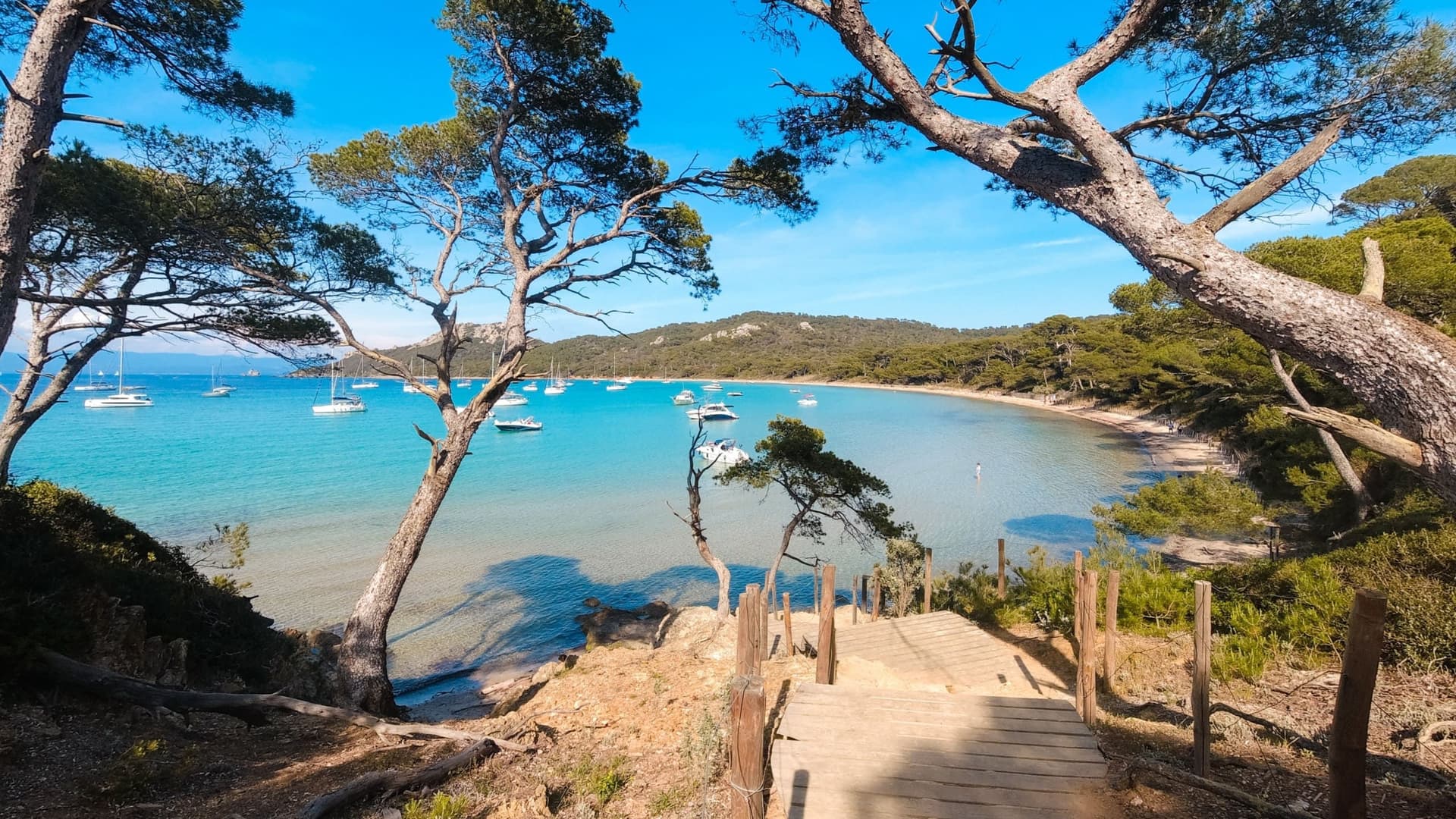 Visiter Porquerolles en bateau : guide complet