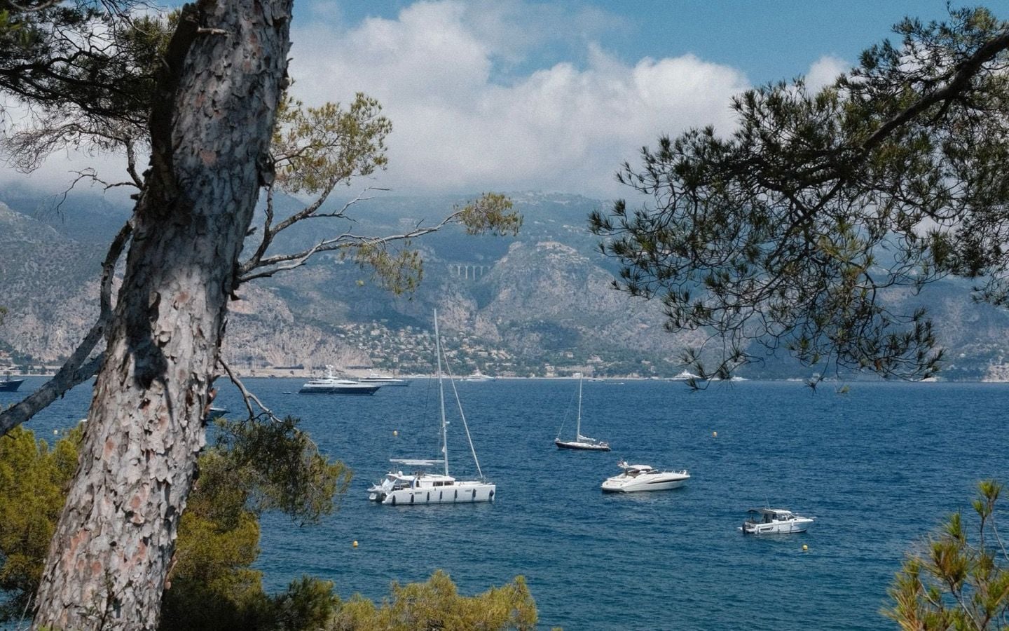 Voiliers et bateaux a moteur au mouillage dans une baie mediterraneenne bordee de pins