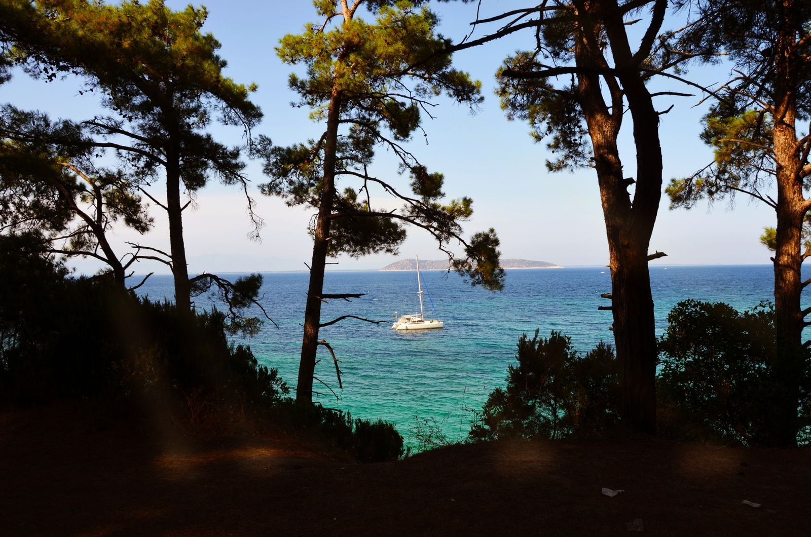Catamaran au mouillage dans une eau claire, vu à travers les pins d'une île Catamaran au mouillage dans une eau claire, vu à travers les pins d'une île