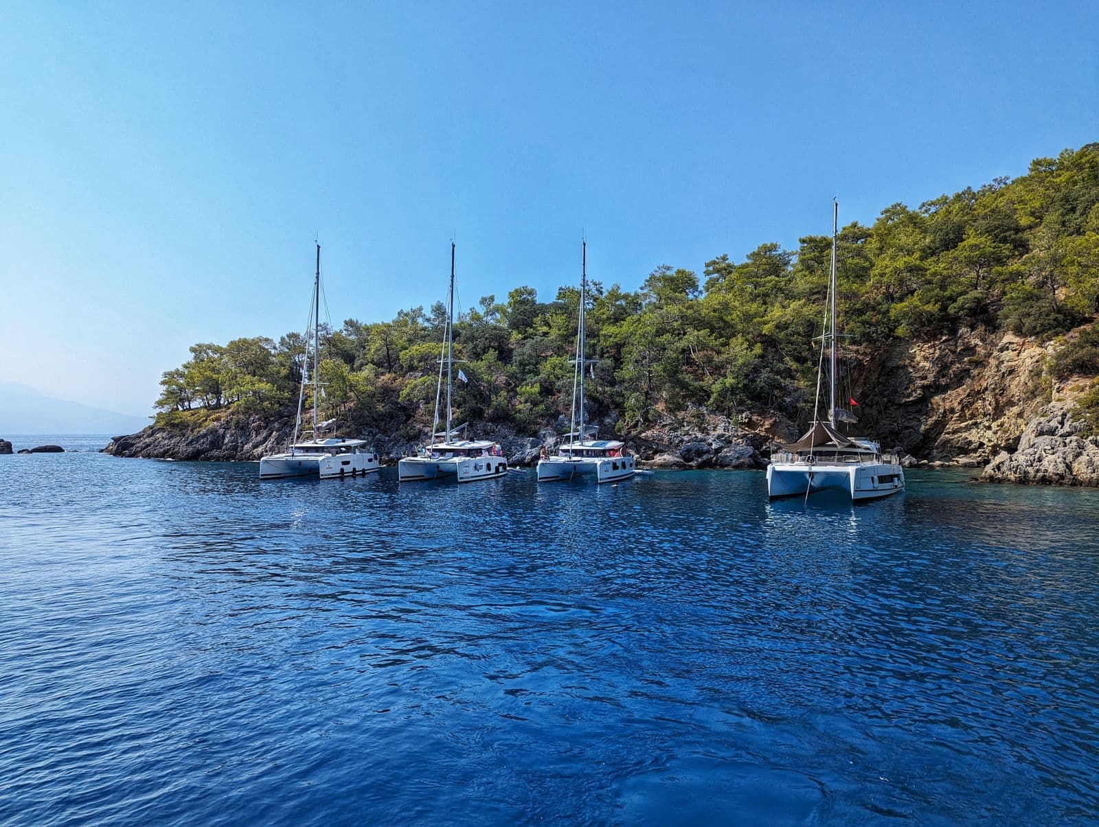 Voiliers et catamarans au mouillage le long d'une côte rocheuse couverte de pins